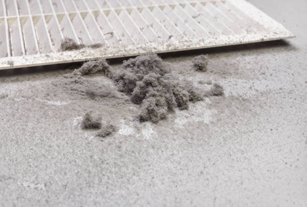 Best Affordable Air Duct Cleaning  in Chaffee, MO