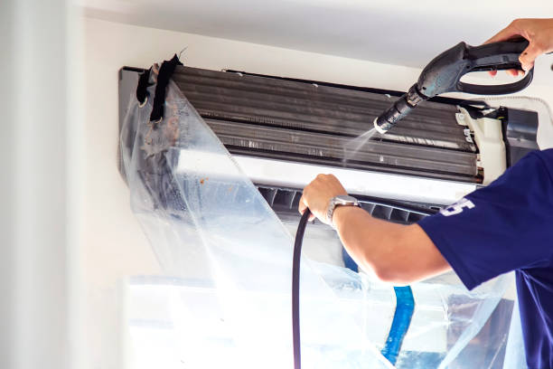 Air Duct Mold Removal in Chaffee, MO