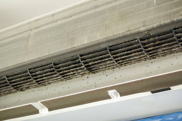 Best Ventilation Cleaning Services  in Chaffee, MO